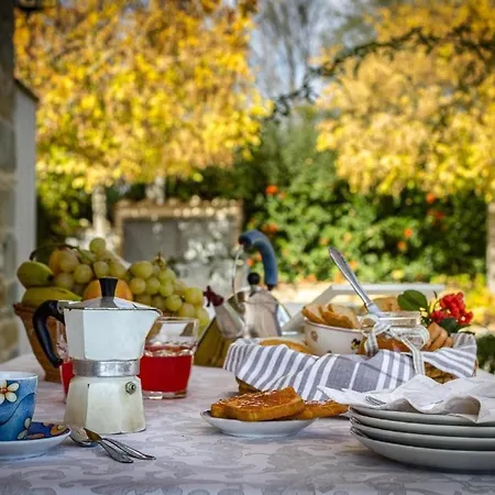 Casina La Graziosa By Interhome Cortona